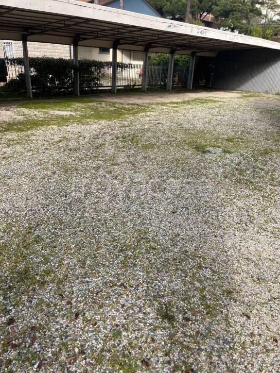 immagine annuncio 2 di 14