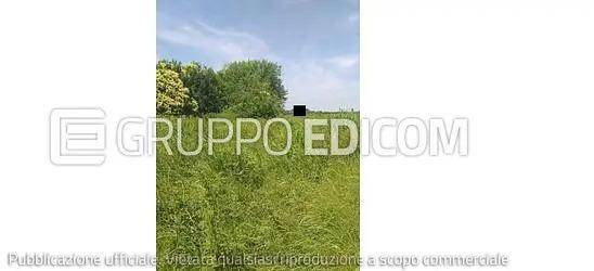 immagine annuncio 7 di 12