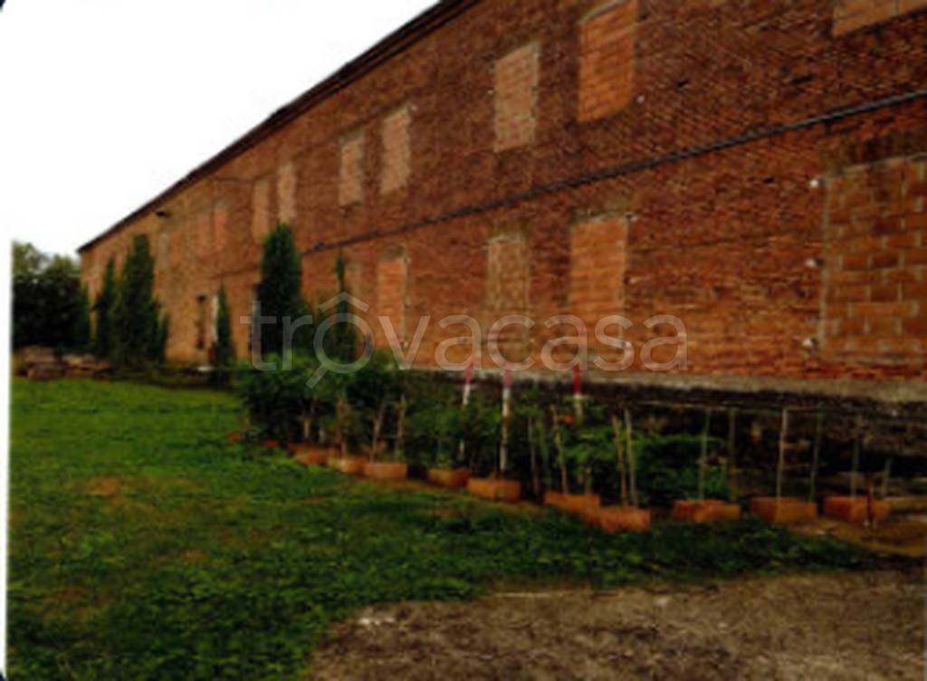 immagine annuncio 4 di 11