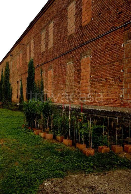 immagine annuncio 8 di 11