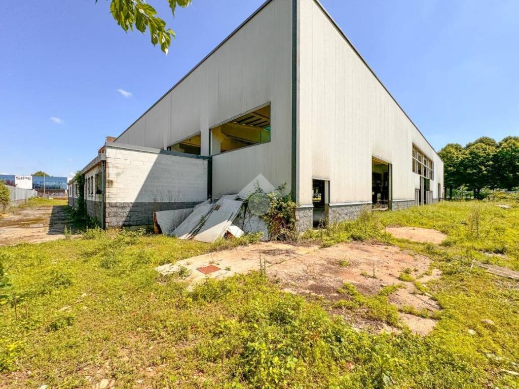 immagine annuncio 7 di 15