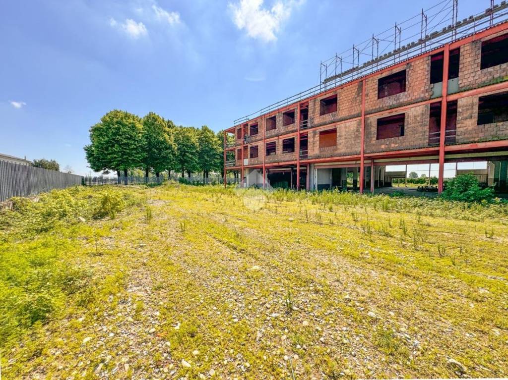 immagine annuncio 12 di 15