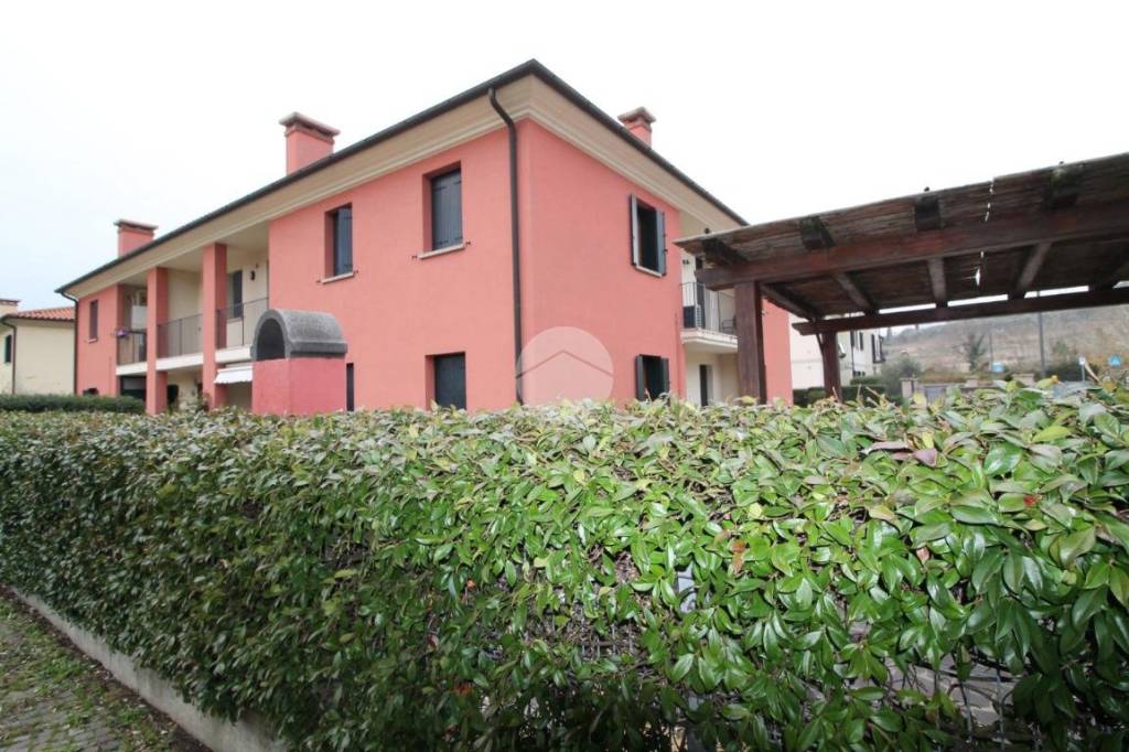 immagine annuncio 11 di 14