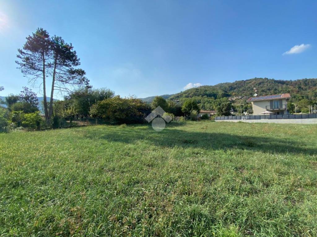 immagine annuncio 7 di 14