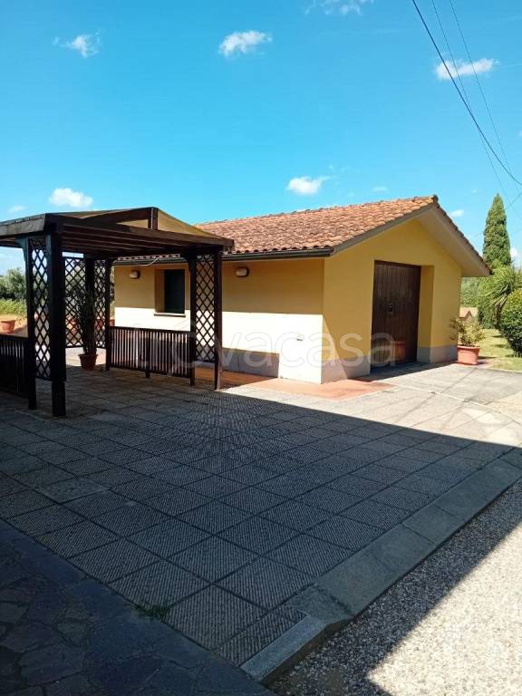 immagine annuncio 4 di 11