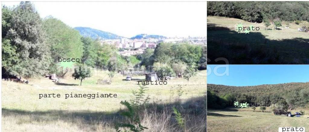 immagine annuncio 1 di 4