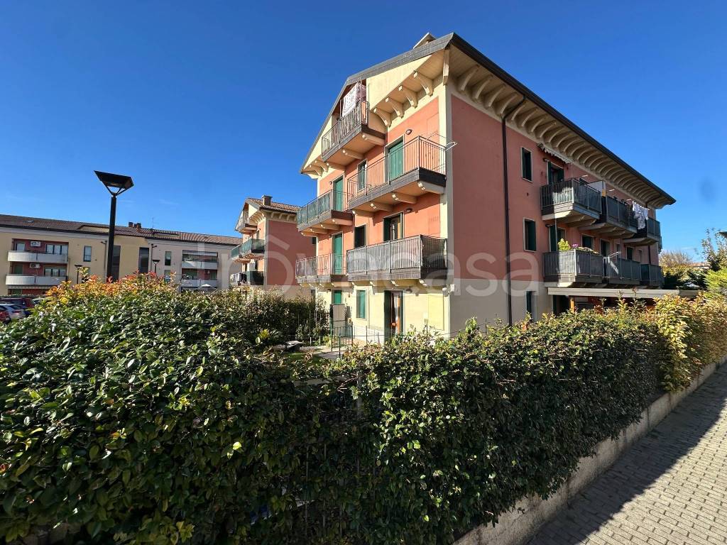 immagine annuncio 1 di 15