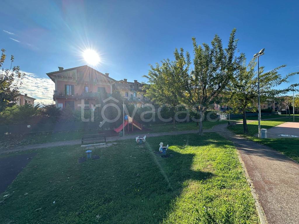 immagine annuncio 2 di 15