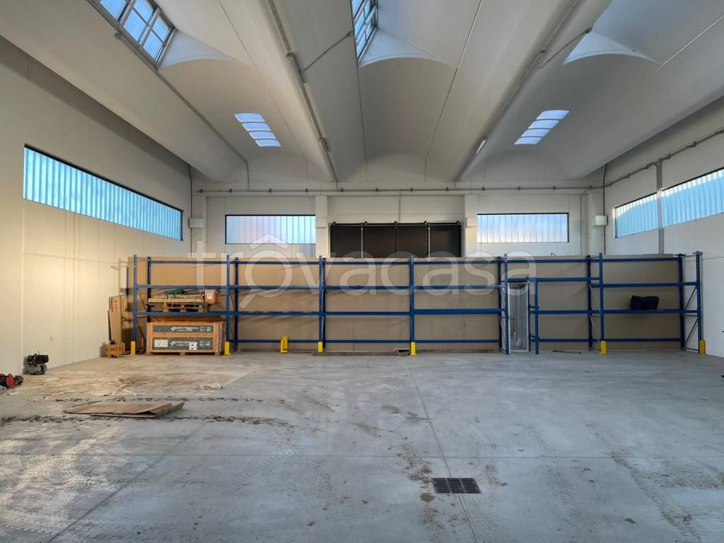 immagine annuncio 2 di 7