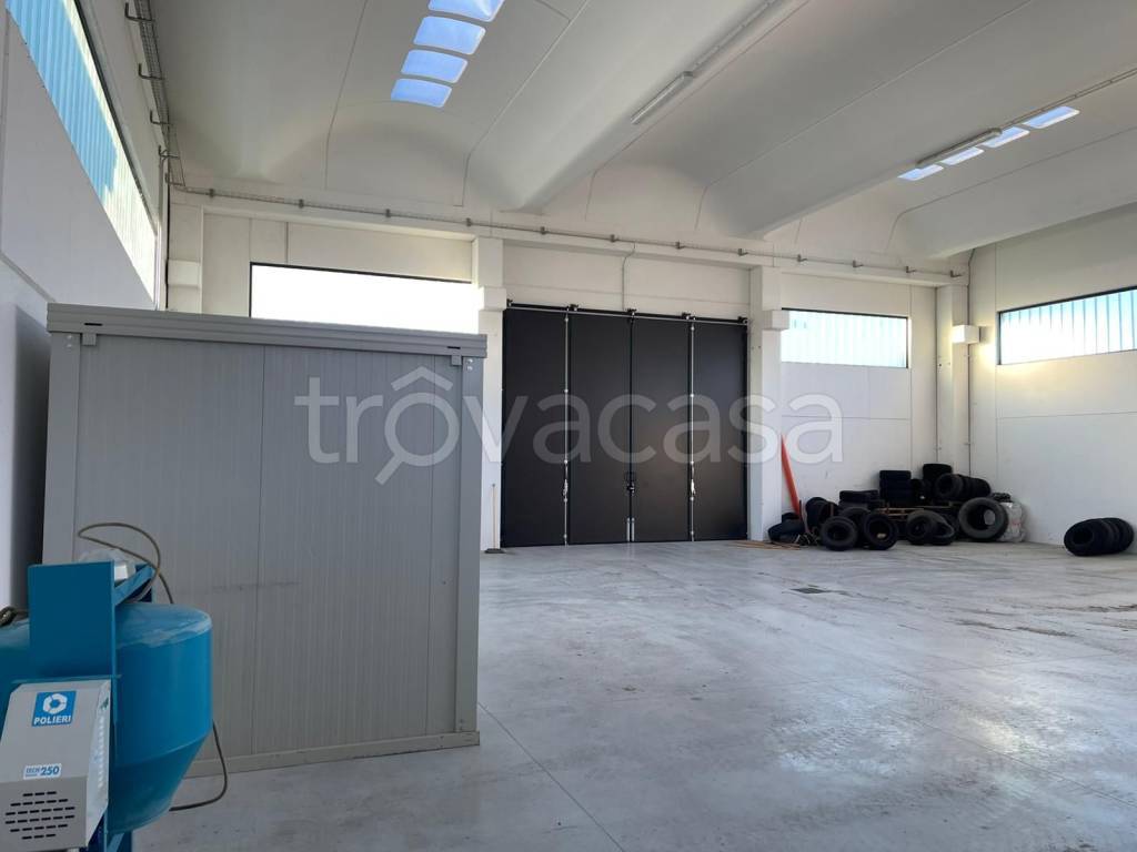 immagine annuncio 4 di 7