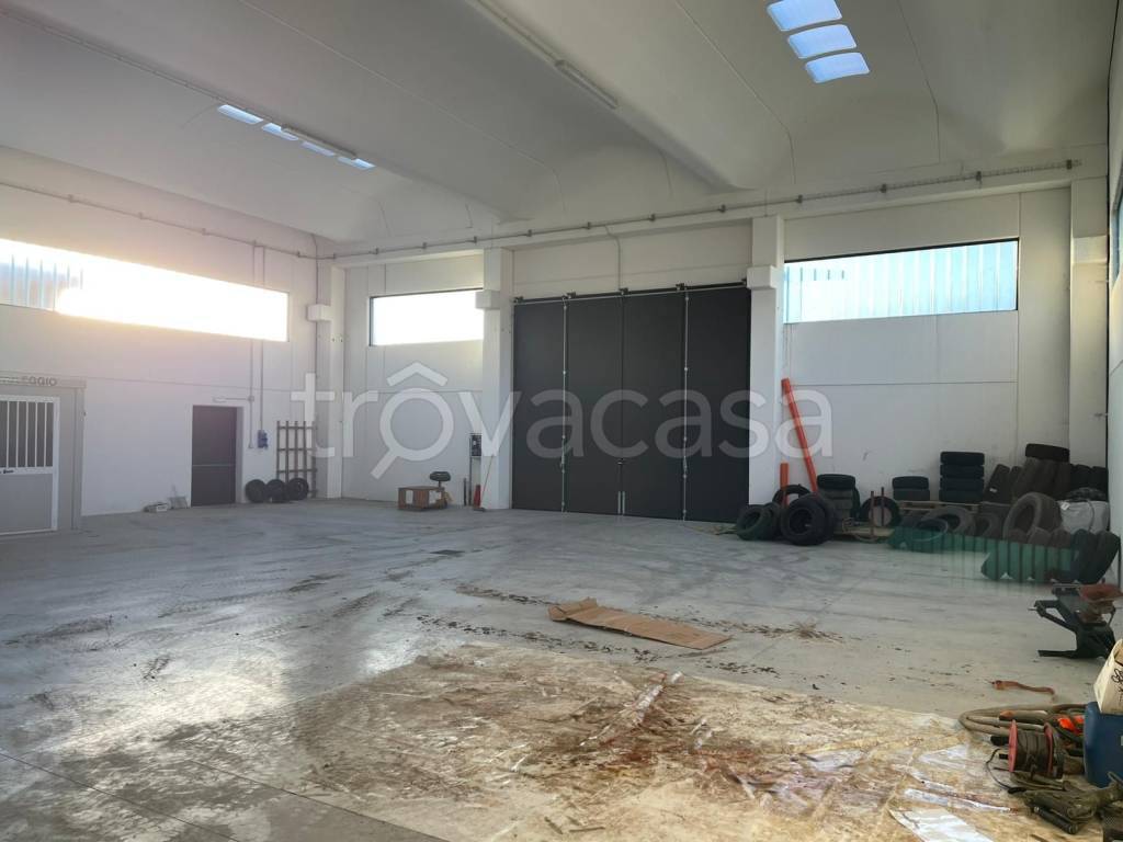 immagine annuncio 6 di 7