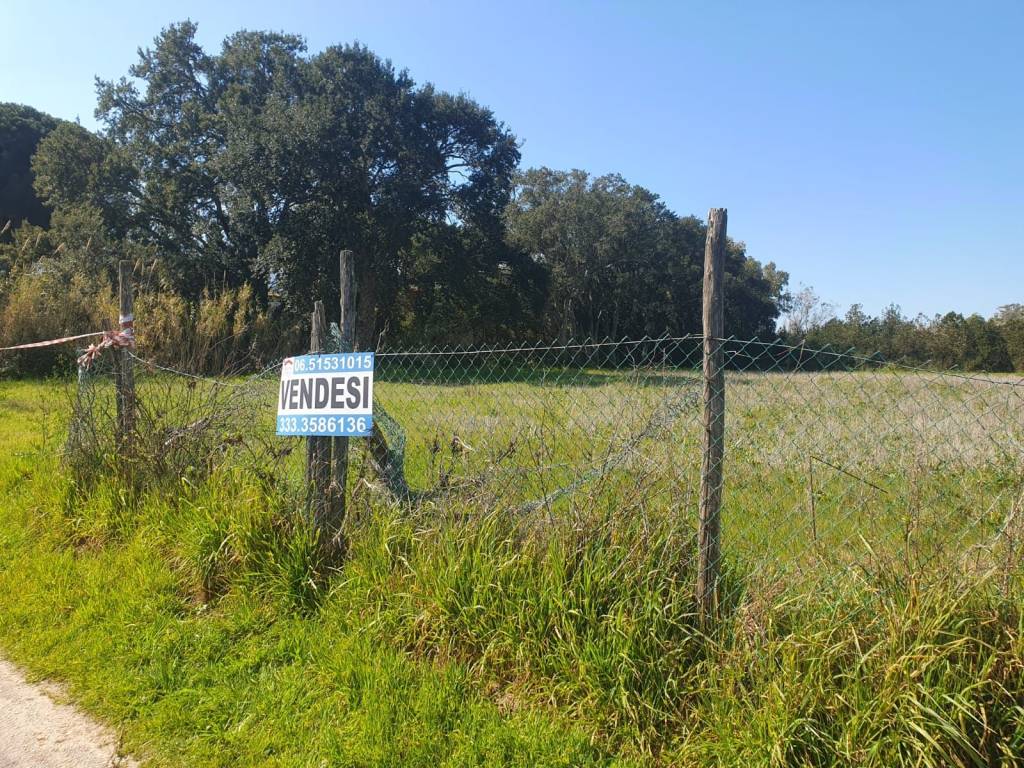 immagine annuncio 1 di 14