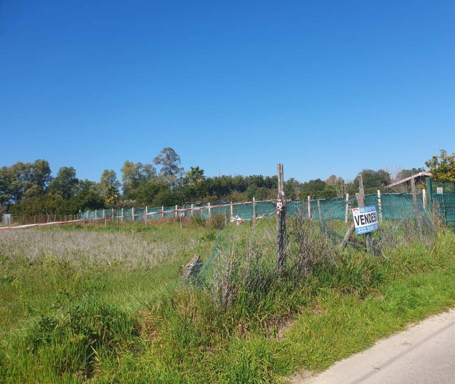 immagine annuncio 3 di 14