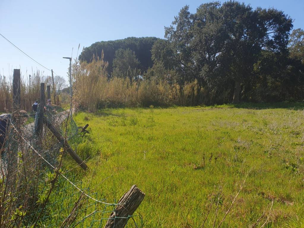 immagine annuncio 4 di 14