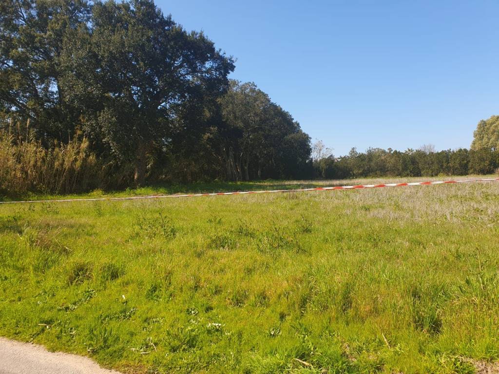 immagine annuncio 5 di 14