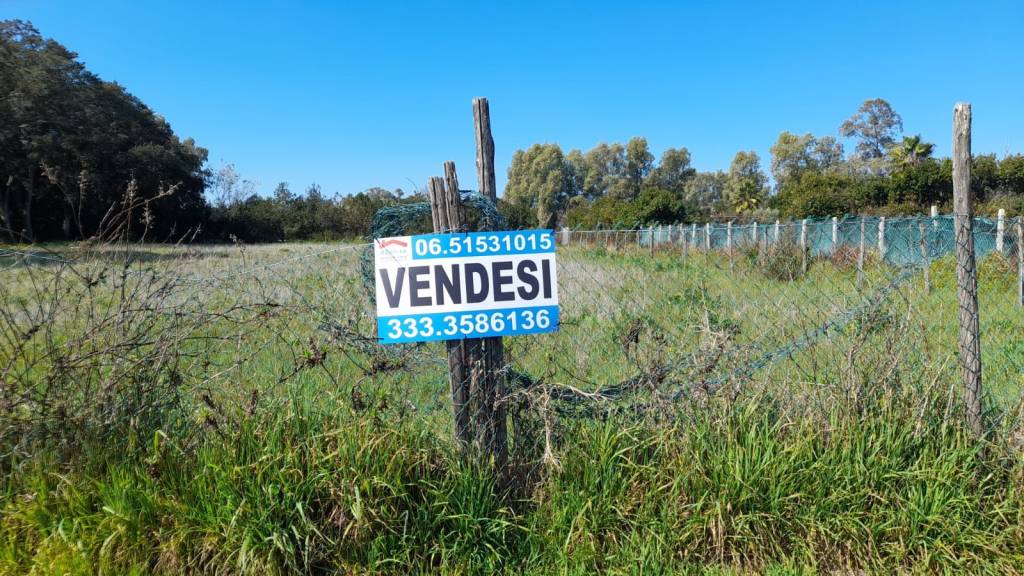 immagine annuncio 6 di 14