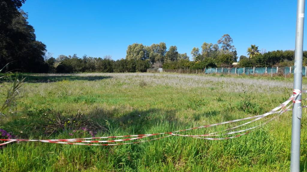 immagine annuncio 7 di 14