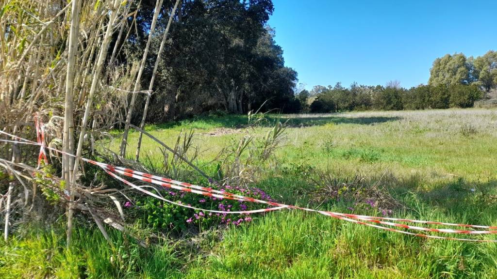 immagine annuncio 8 di 14