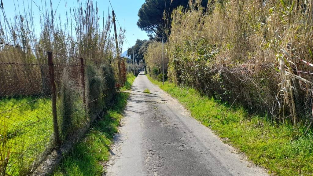 immagine annuncio 9 di 14