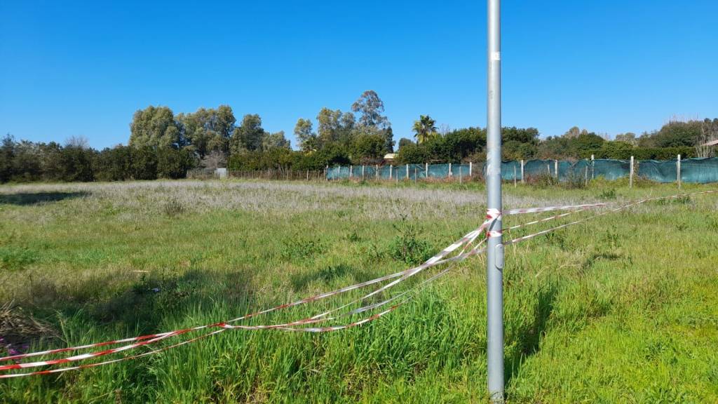 immagine annuncio 10 di 14