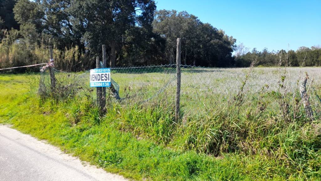 immagine annuncio 11 di 14