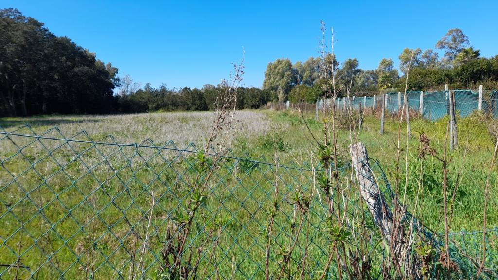 immagine annuncio 12 di 14