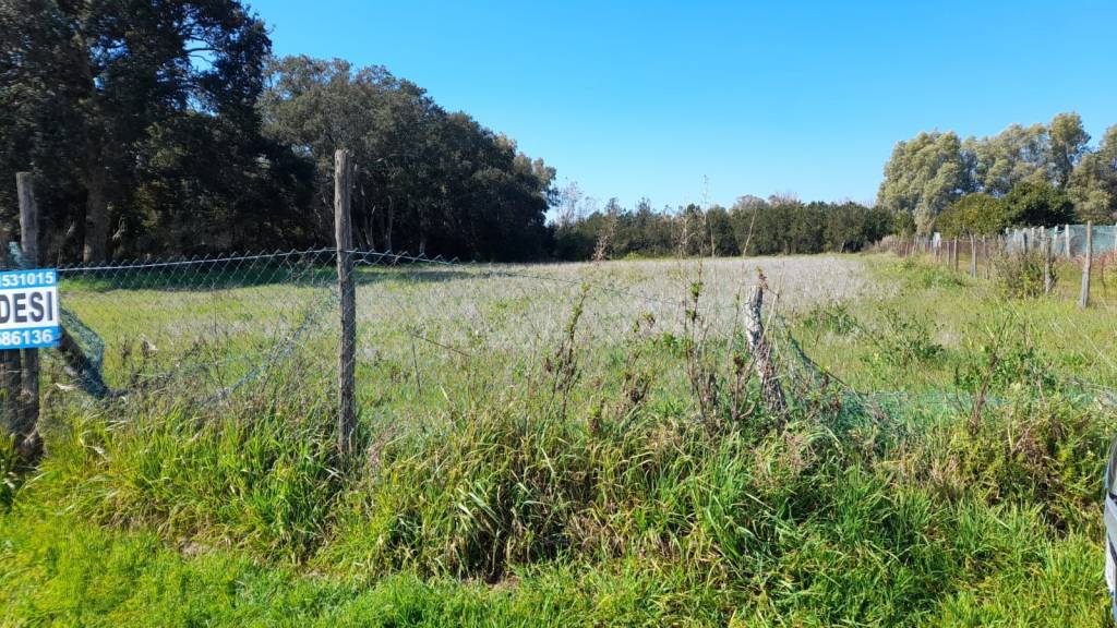 immagine annuncio 13 di 14