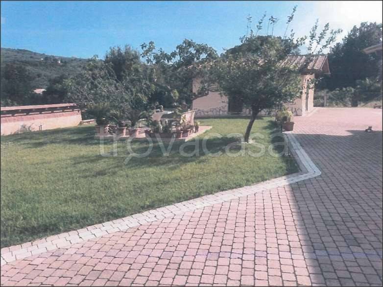 immagine annuncio 7 di 11