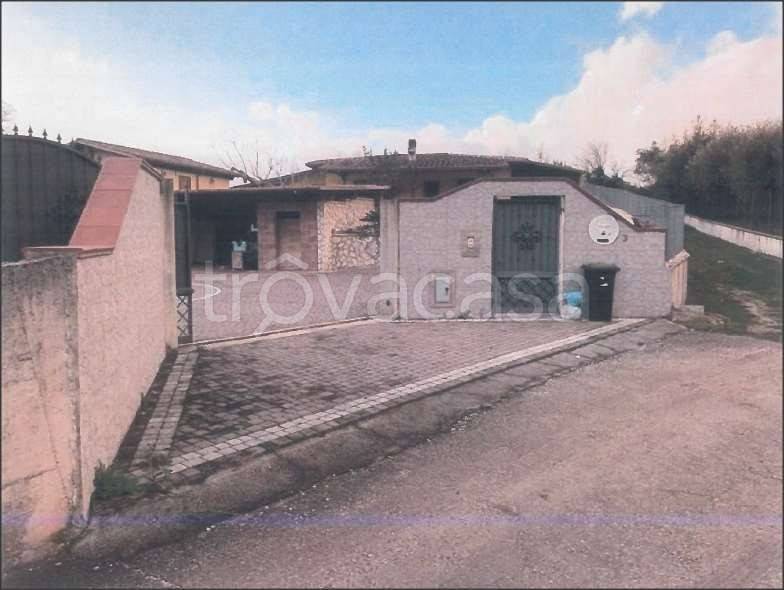 immagine annuncio 9 di 11