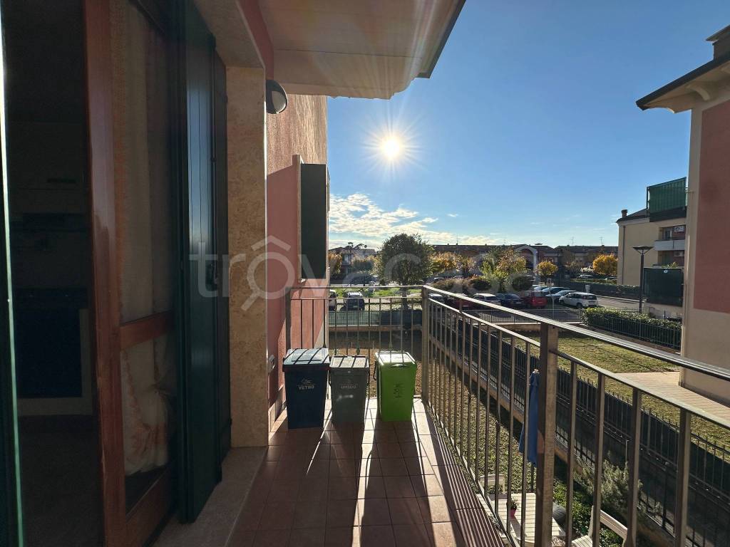 immagine annuncio 11 di 15