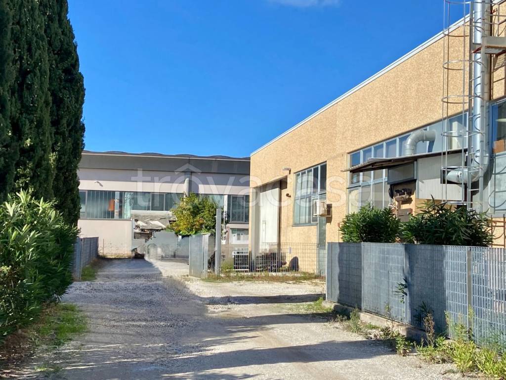 immagine annuncio 1 di 3