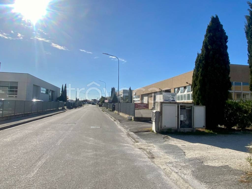 immagine annuncio 2 di 3