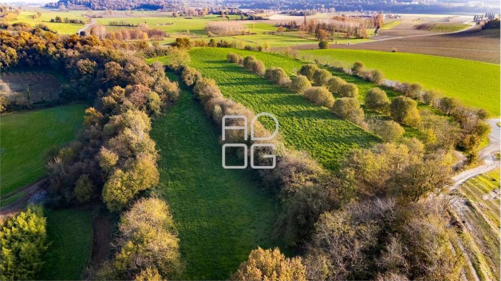 immagine annuncio 1 di 3