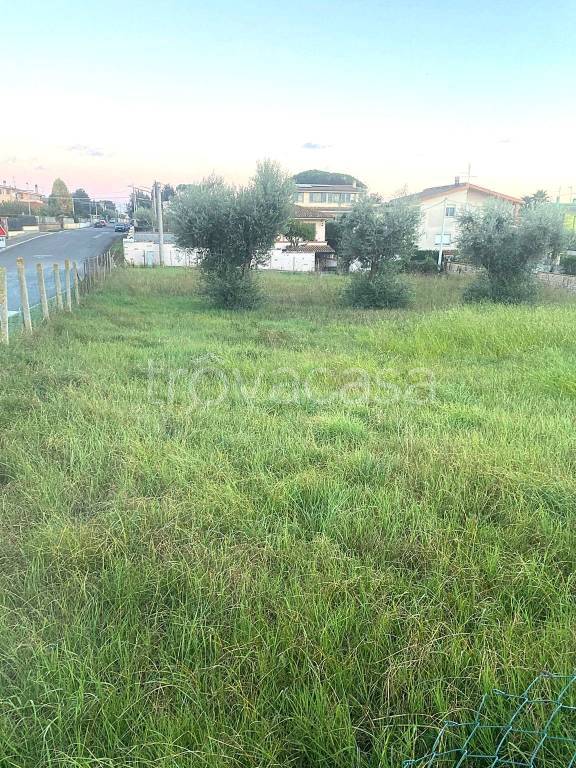 immagine annuncio 6 di 7