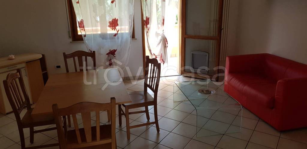 immagine annuncio 2 di 12