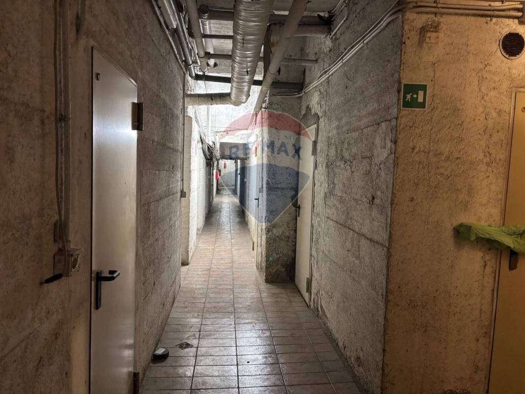 immagine annuncio 12 di 14