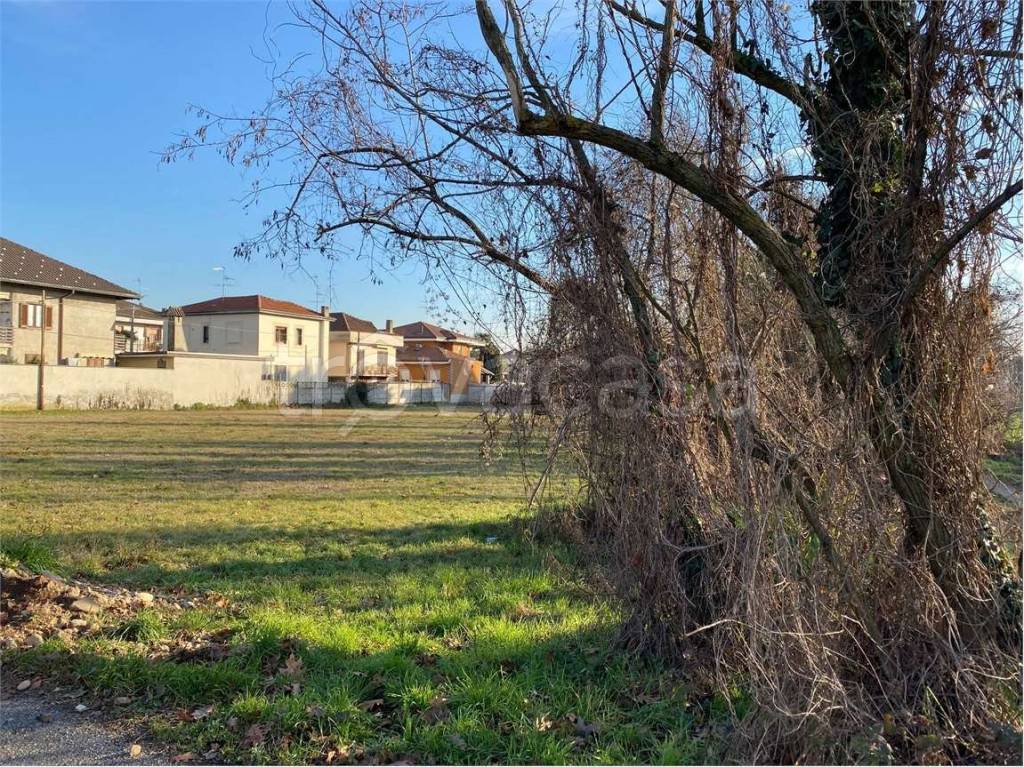 immagine annuncio 5 di 12