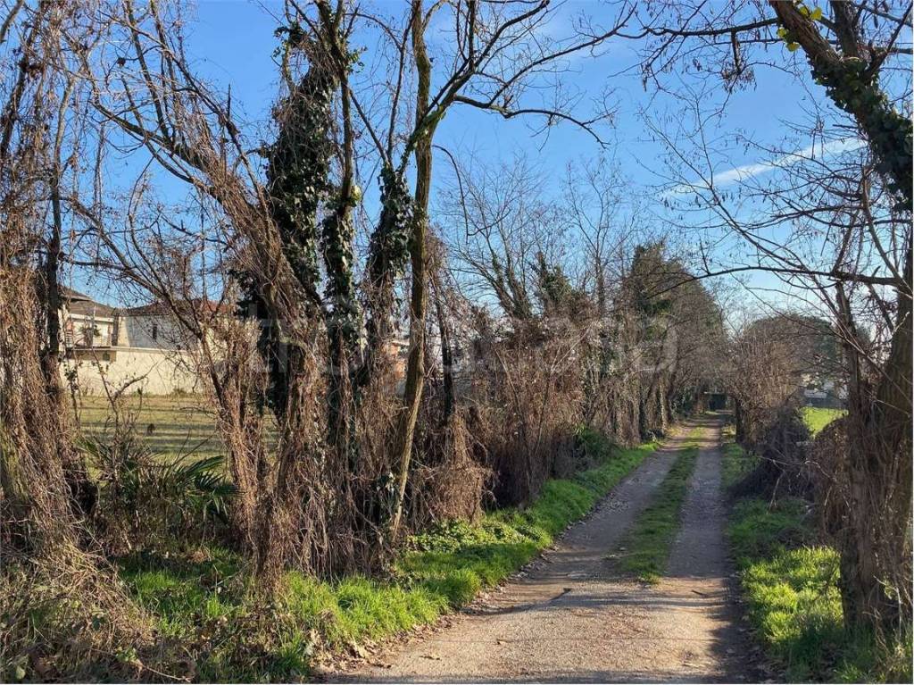 immagine annuncio 11 di 12