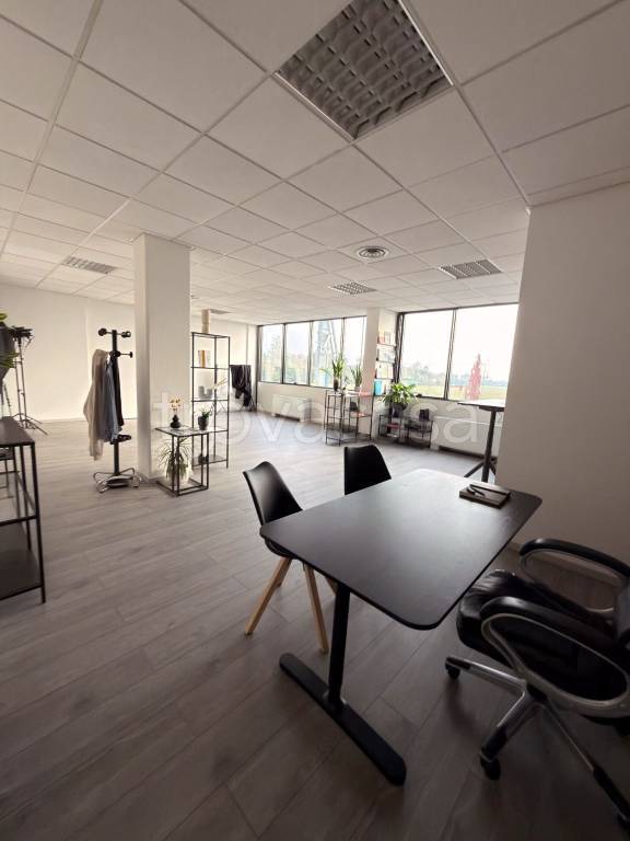 immagine annuncio 2 di 7