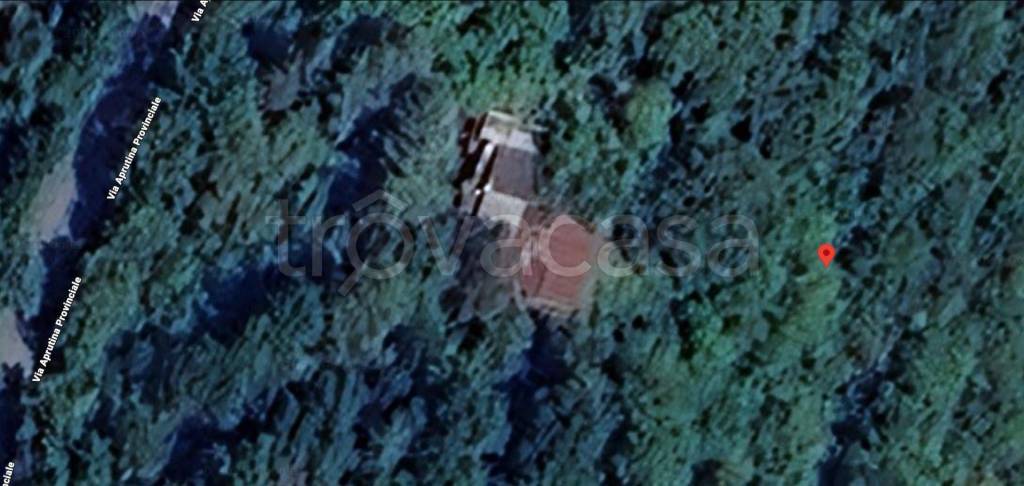 immagine annuncio 10 di 13