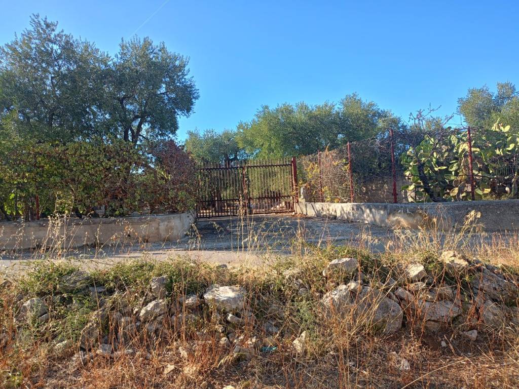 immagine annuncio 1 di 9