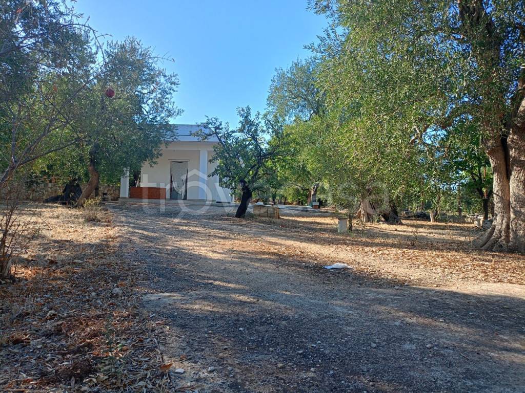 immagine annuncio 3 di 9