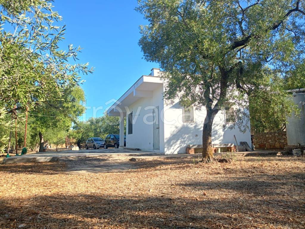 immagine annuncio 4 di 9