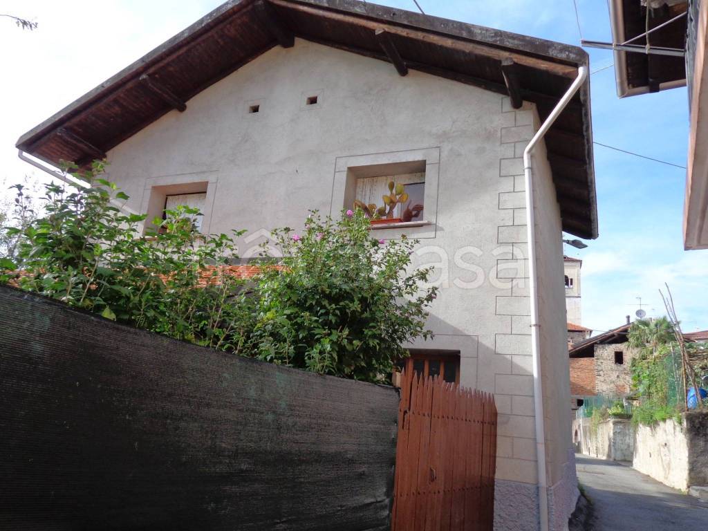 immagine annuncio 5 di 14