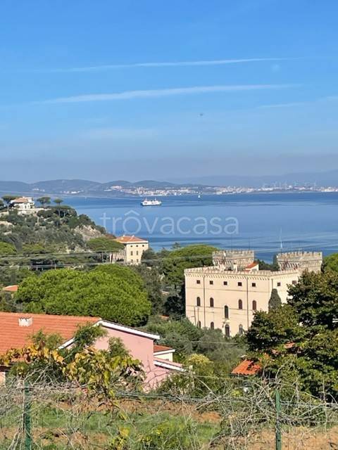 immagine annuncio 2 di 13