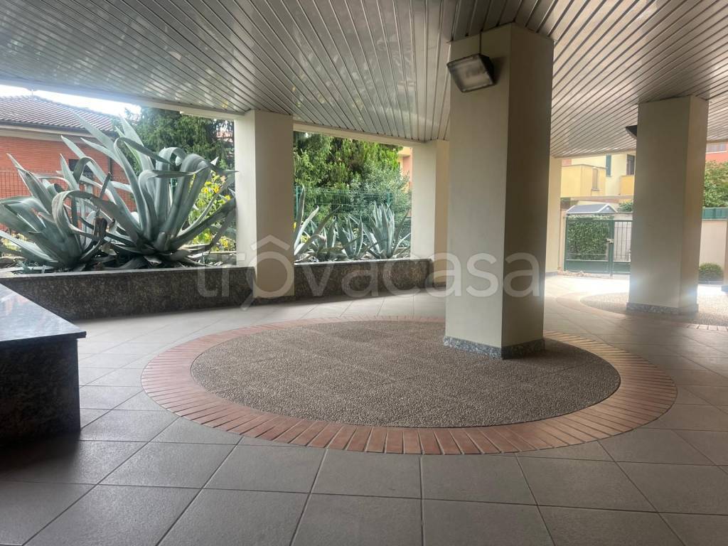 immagine annuncio 5 di 15