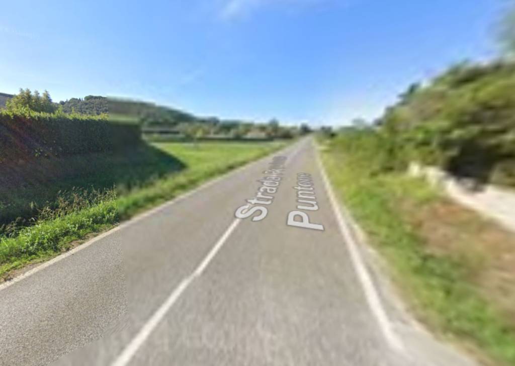 immagine annuncio 6 di 11