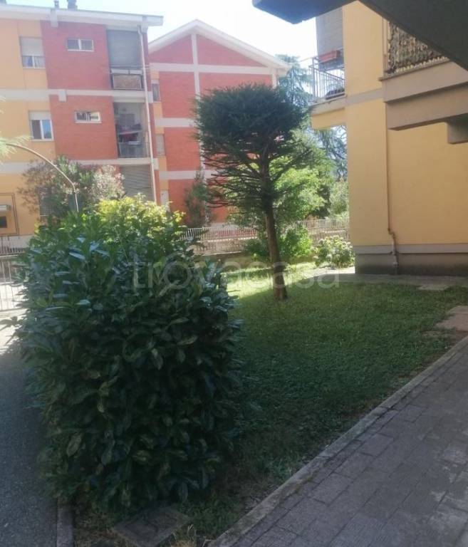 immagine annuncio 1 di 12