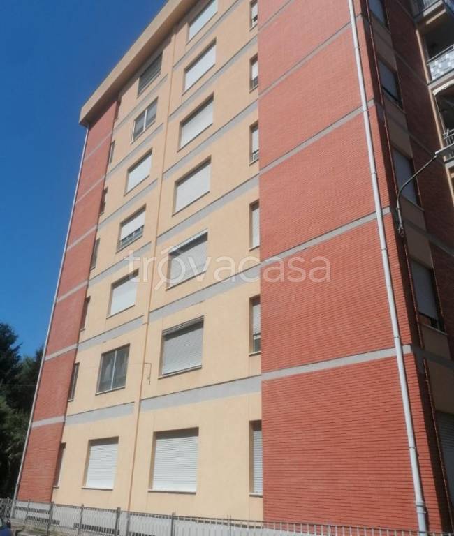 immagine annuncio 3 di 12