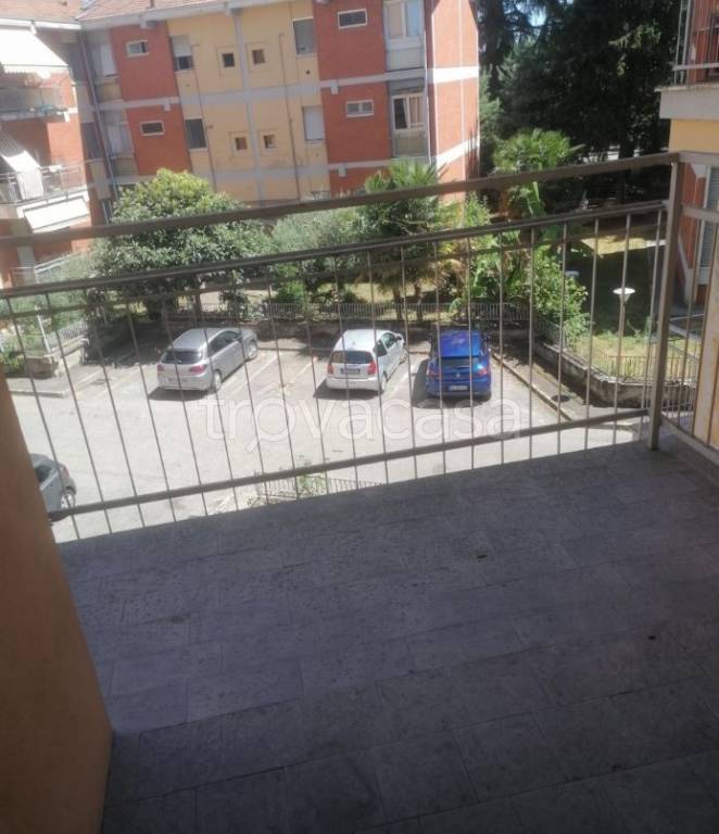 immagine annuncio 9 di 12